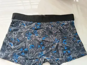 Boxer