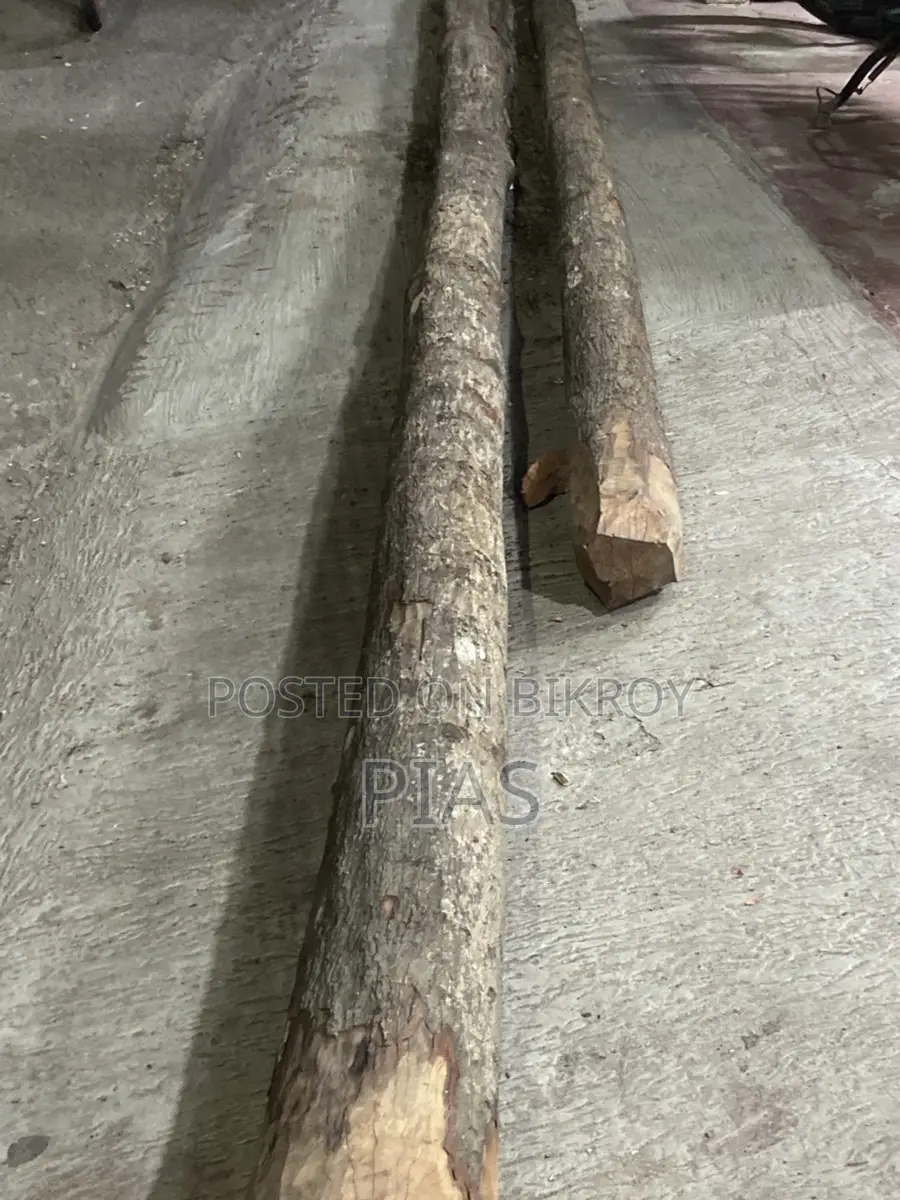 Two pieces of Gab tree for sale