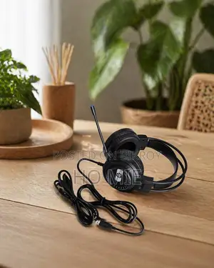 HP Wired Headphone