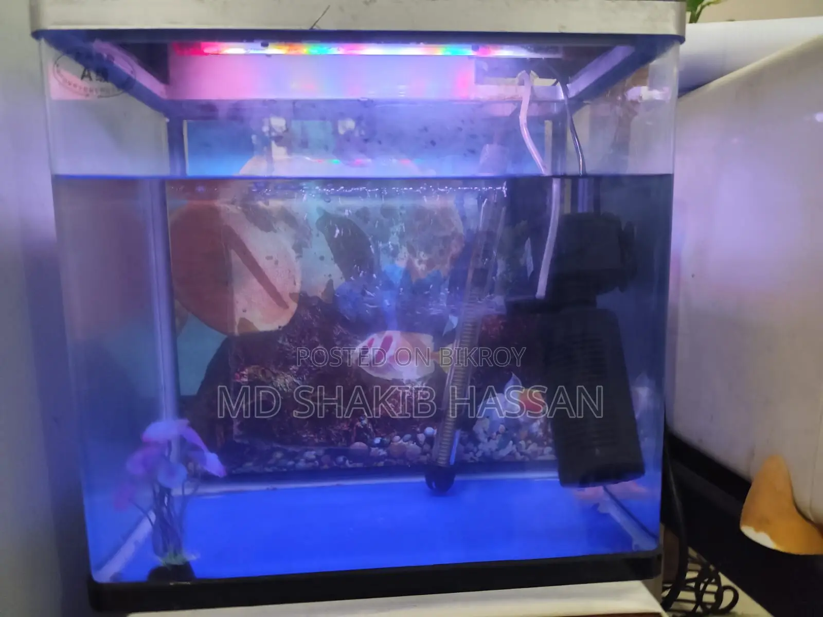 Aquarium For Sale