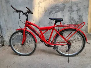 Duranto Cycle 24''