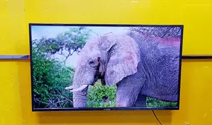Rangs 43 Inch Smart TV