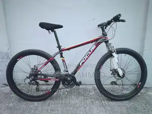 Focus Cycle