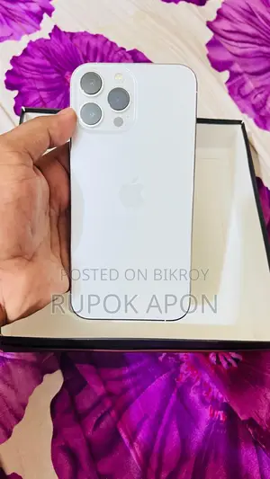 Apple iPhone 13 Pro Max (Used)