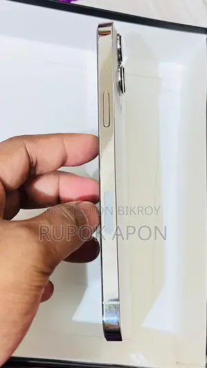 Apple iPhone 13 Pro Max (Used)
