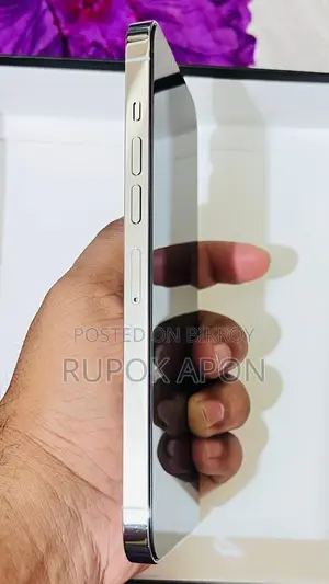 Apple iPhone 13 Pro Max (Used)