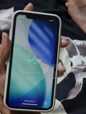 Apple iPhone 11 (Used)