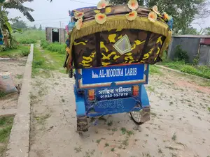 Three Wheeler for Sale