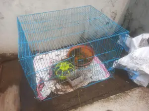 কয়েকটি পাখি খাচা আছে
