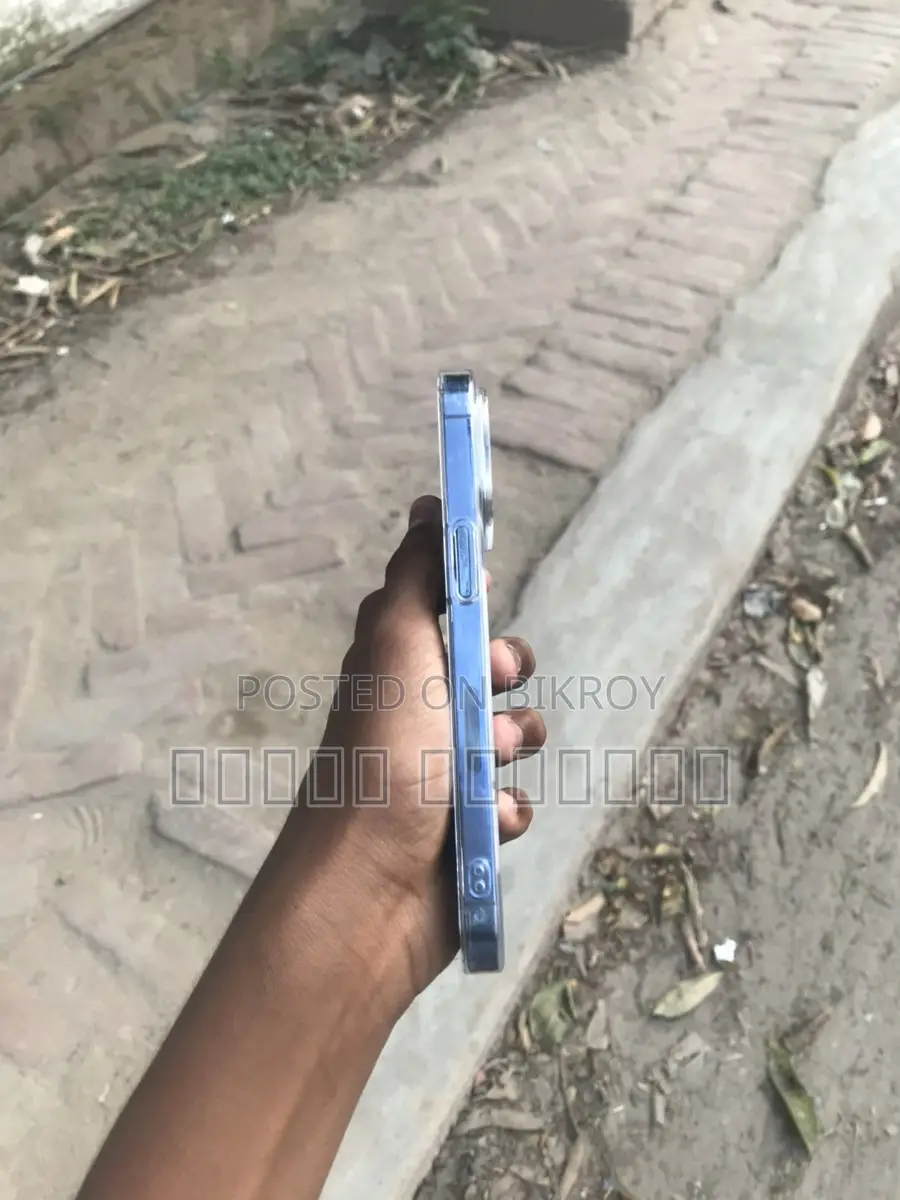 Apple iPhone 13 Pro 256GB (Used)
