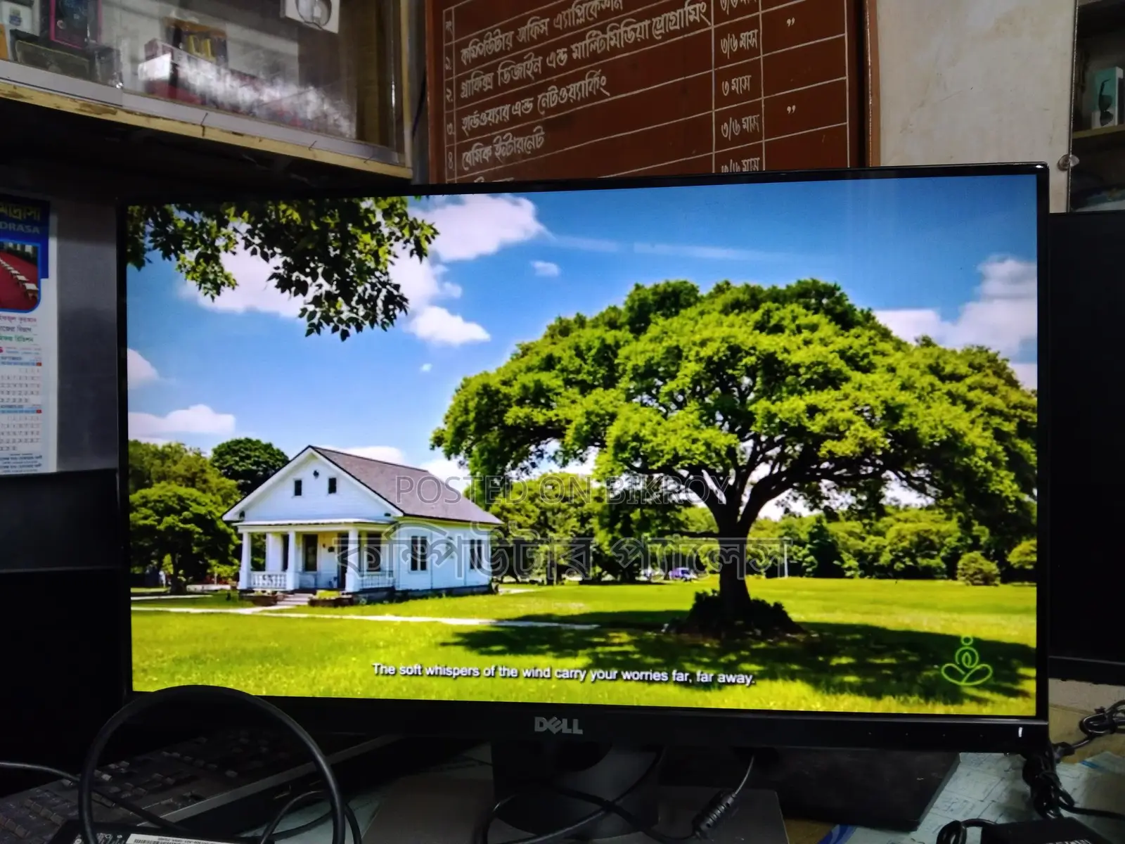 100% Full Fresh IPS Borderless 22-Inch Monitor