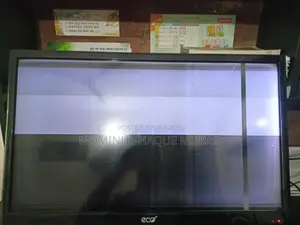 Eco+ 24 Inch LED TV Display Problem - Urgent Sale