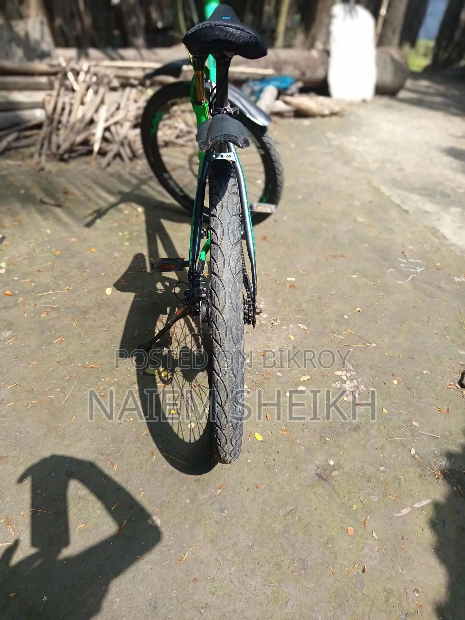 Phoenix Bicycle