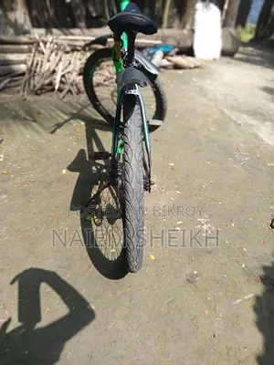 Phoenix Bicycle