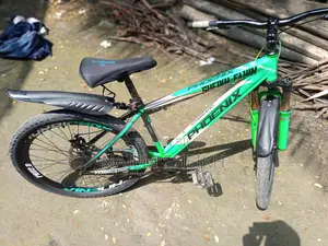 Phoenix Bicycle