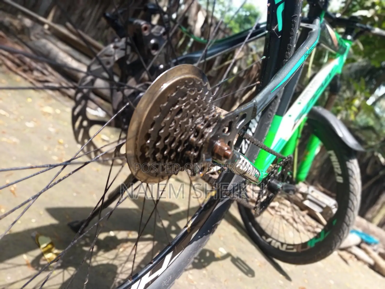 Phoenix Bicycle