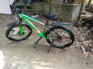 Phoenix Bicycle