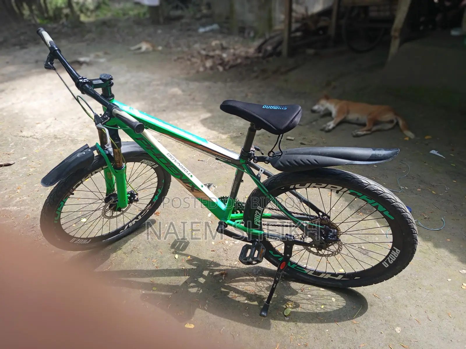 Phoenix Bicycle