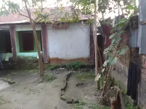 Tin-shed House