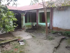 Tin-shed House