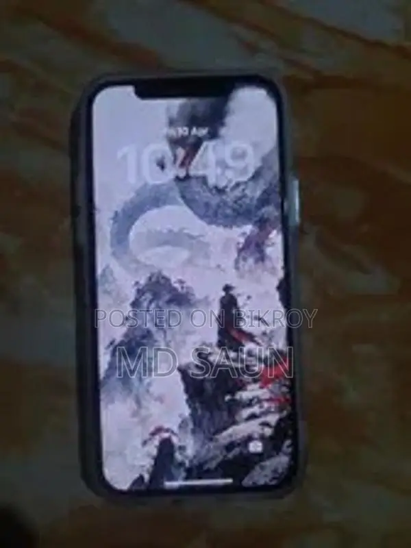 Apple iPhone 12 (Used)