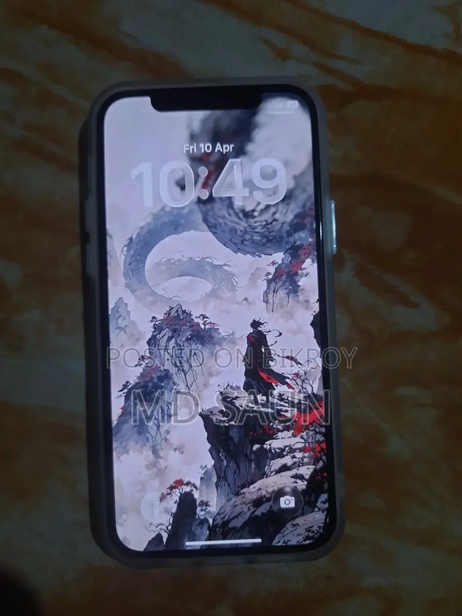 Apple iPhone 12 (Used)