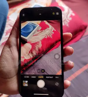 Apple iPhone 12 (Used)