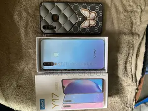 Vivo Y17 8/256 full box (Used)