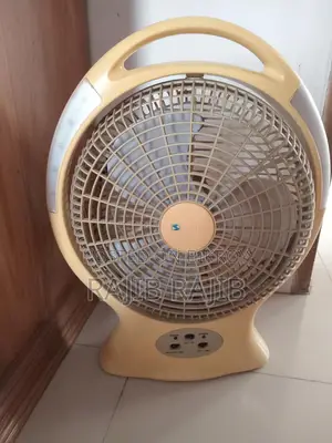 ফ্যান বিক্রয়