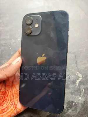 Apple iPhone 12 (Used)