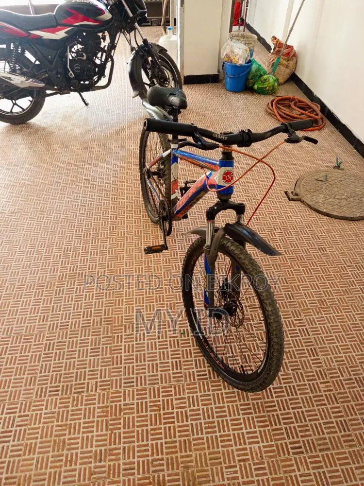 Bicycle for Sale