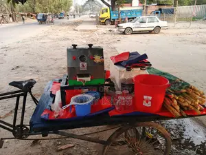 আখ ভাঙ্গানোর ডিজিটাল ম্যানুয়েল মেশিন
