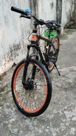 24 Inch Gear Cycle