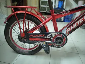 Phoenix Baby Bicycle 16" Urgent Sale