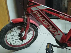 Phoenix Baby Bicycle 16" Urgent Sale