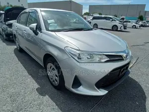 Toyota Axio EX Silver Color 2020