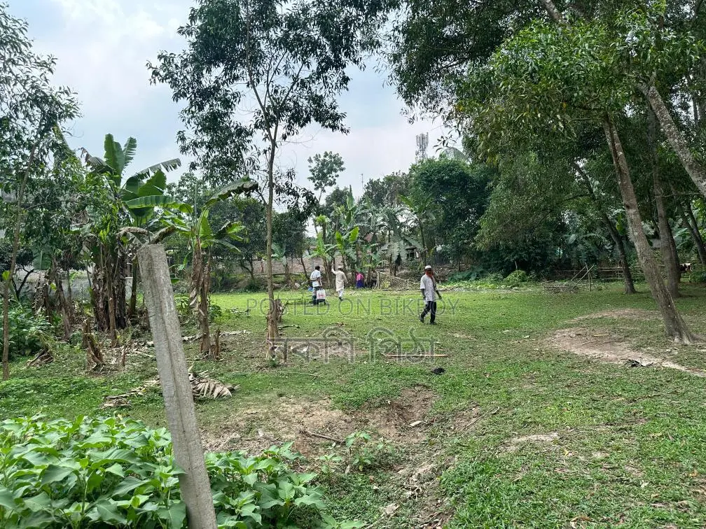 Land for Sale