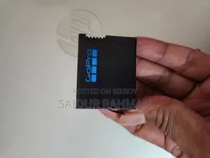 Gopro Hero 13 Original Battery