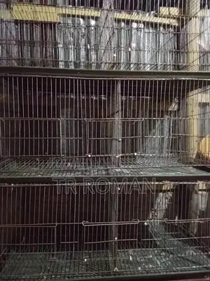পাখির খাঁচা তিন তালা