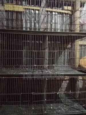 Three-Tier Bird Cage