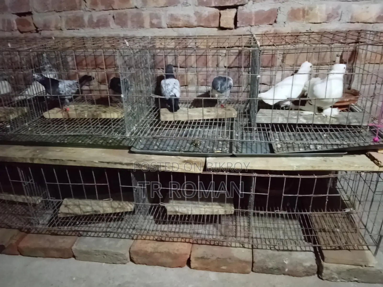 Three-Tier Bird Cage