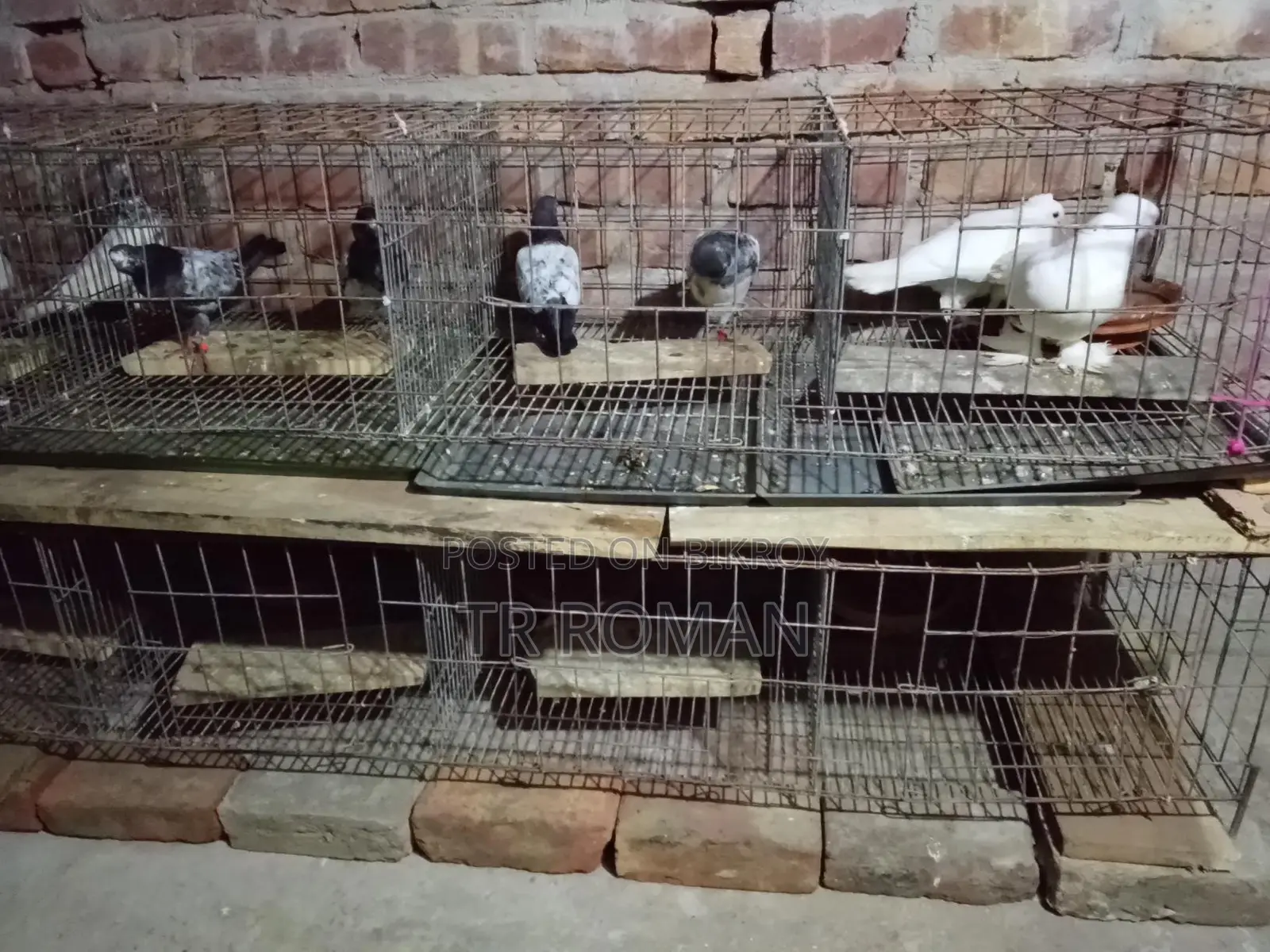 Three-Tier Bird Cage