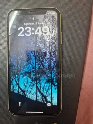 Apple iPhone 11 (Used)