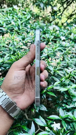 Apple iPhone 14 Pro (Used)