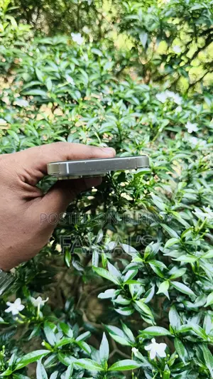 Apple iPhone 14 Pro (Used)