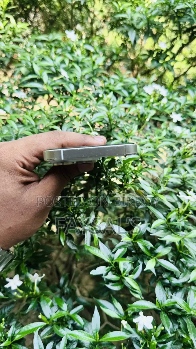 Apple iPhone 14 Pro (Used)