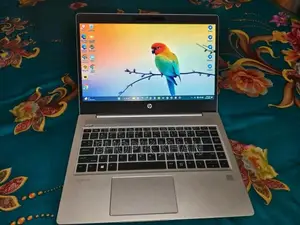 HP Probook 44sr G6