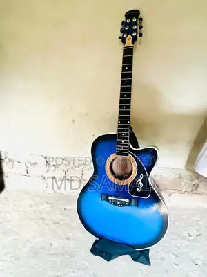 Guitar for Sale