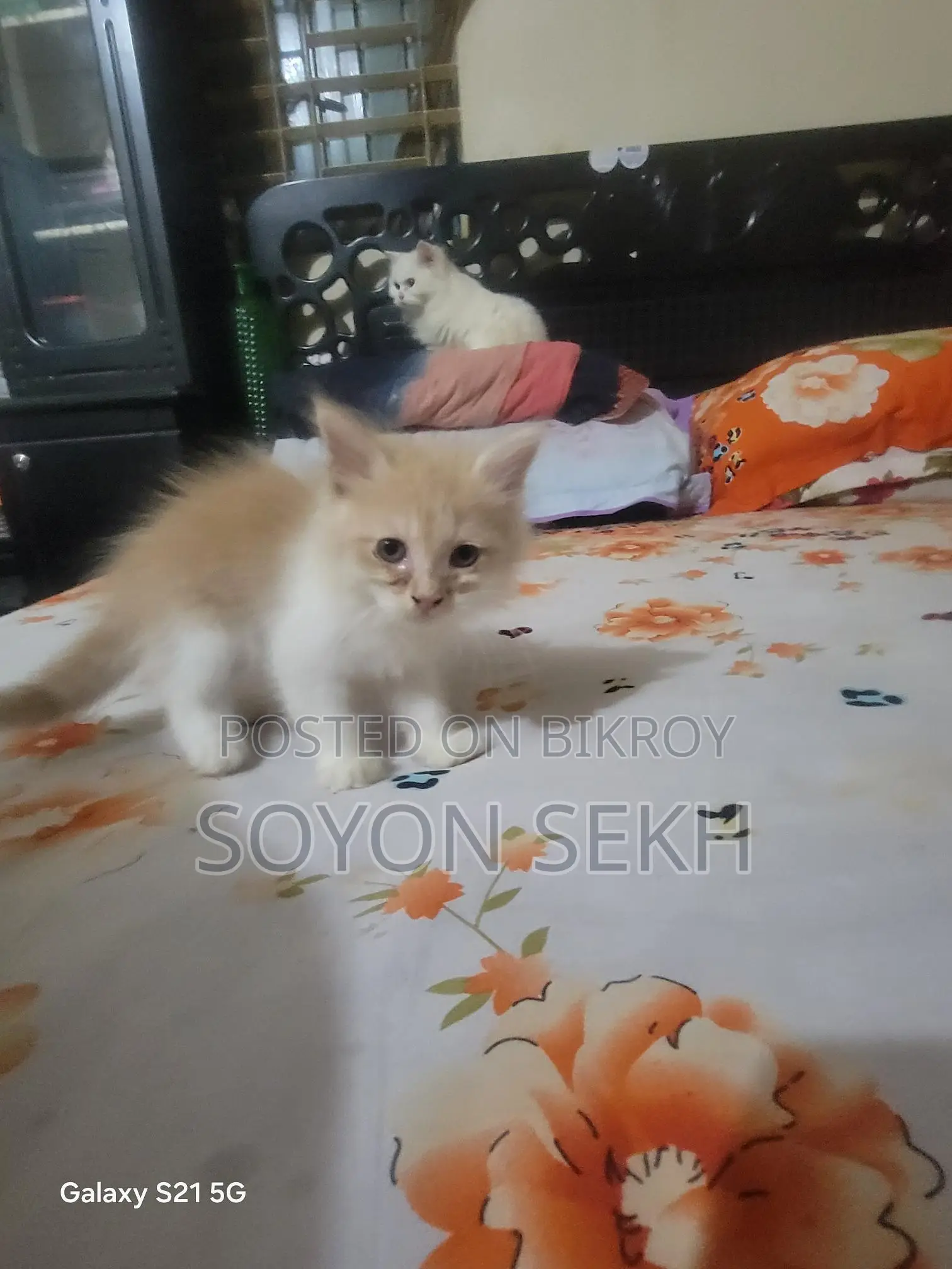 Parsian (3 Core)