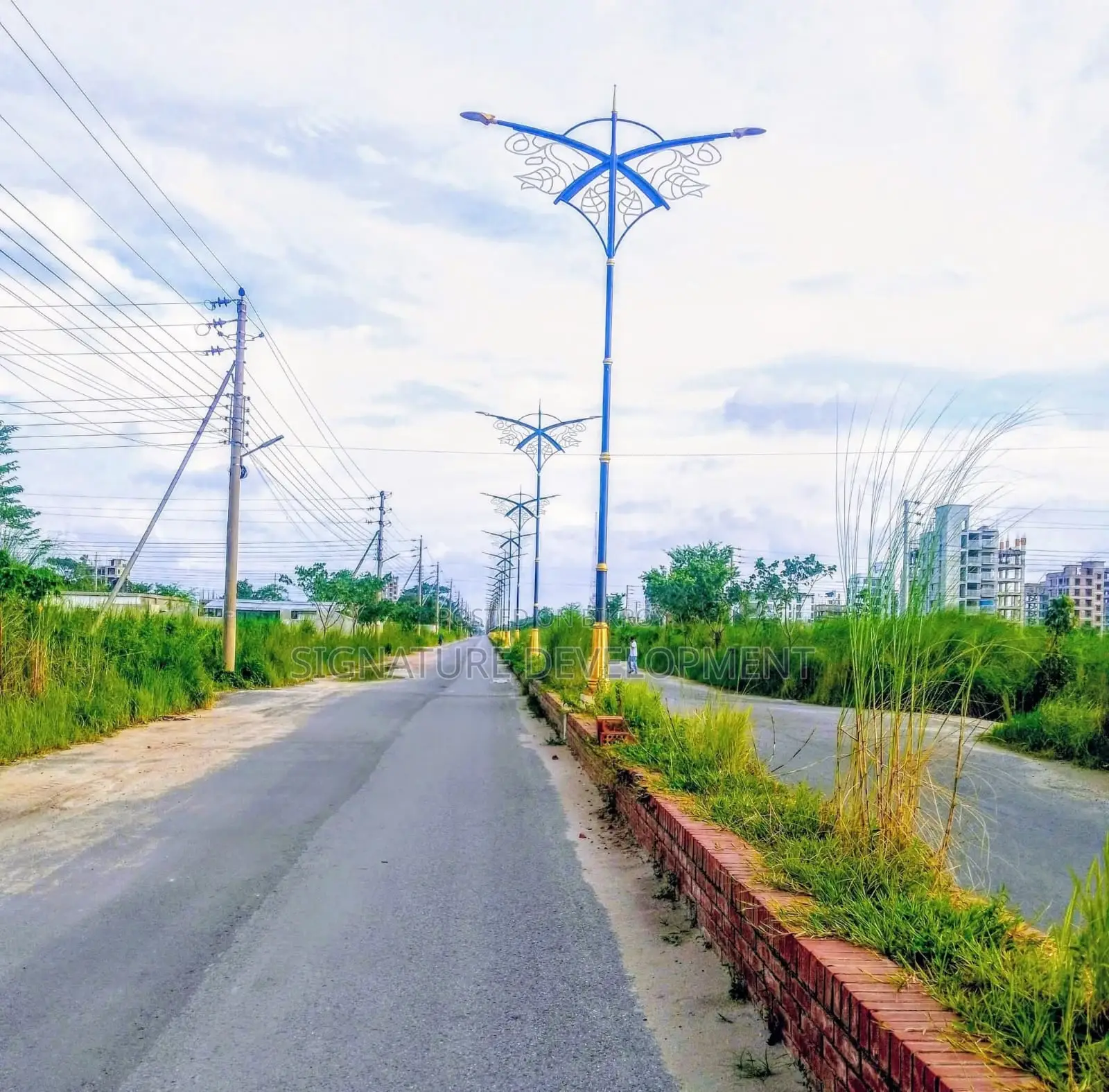 M-Block \ 5 Katha \ Plot for Sale \ Bashundhara R/A